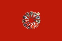 固阳县回收红酒
